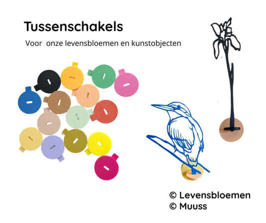 Tussenschakel levensbloem - Joeff
