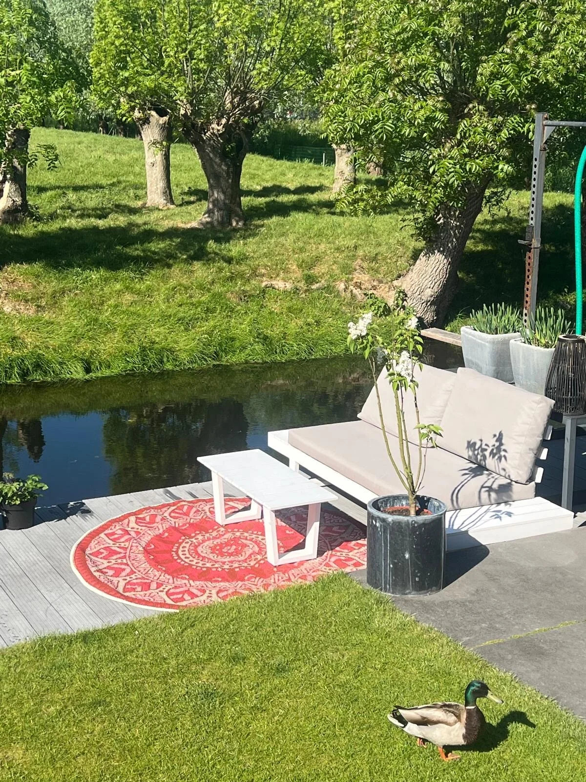 Buitenkleed rond dia 180 cm , roze / goud